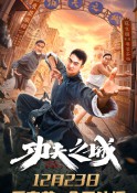 2020年动作《功夫之城》高清完整版免费电影下载